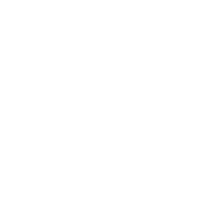 Logo Algoritcom.io